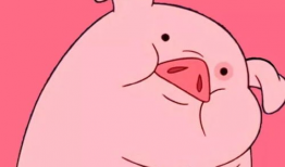 猪猪动漫,萌趣横生的奇幻世界之旅